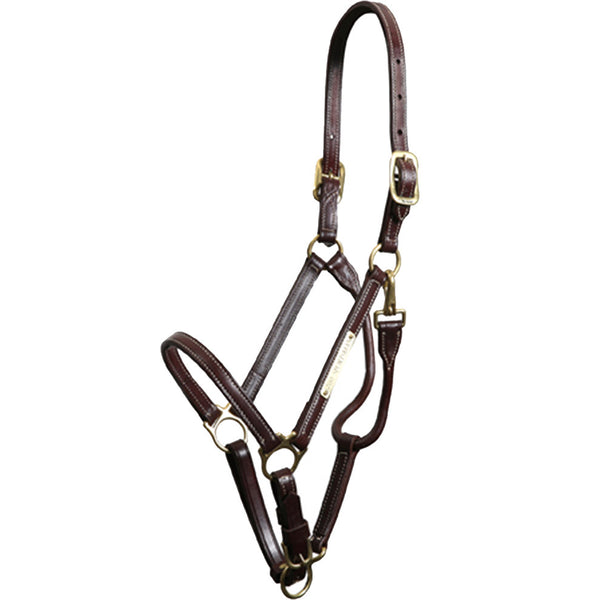 Walsh Sportsman Halter